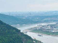 -铁山坪森林公园