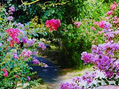 -国家植物园