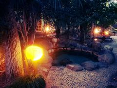 -金凤凰温泉度假村·凤凰汇中餐厅