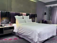 -南京禄口机场雅高铂尔曼大酒店