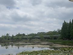 -白鹭湾湿地公园