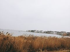 -祝甸砖窑文化馆