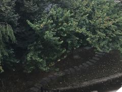 -碧云新天地二期