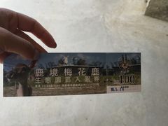 -鹿境梅花鹿生态园区