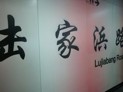 -陆家浜路(地铁站)