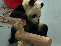 -无锡动物园·太湖欢乐园