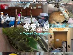 -立德异宠动物医院.兔鸟爬.内窥镜(天河店)
