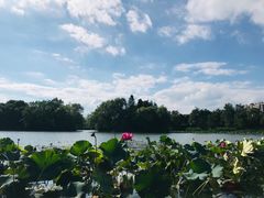 -新江湾城公园