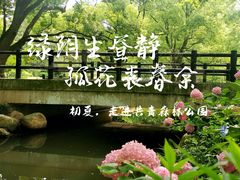 -上海共青森林公园