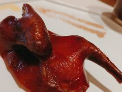 -香港狮子山下·明星粤菜餐厅(北苑店)