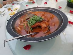 -梧桐