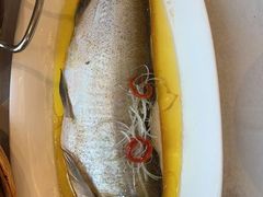 -聚鑫阁江浙菜·非遗传承技艺(青村帝华园店)