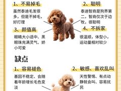 -联合动物医院(光谷诊疗中心)