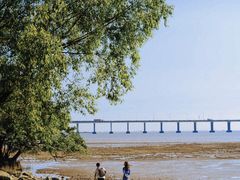 -宝安西湾红树林湿地公园