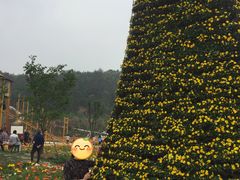 -绵阳盛世樱花悠乐谷