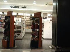 -戴高乐机场火车站