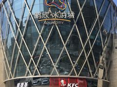 -鹏欣水游城