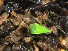 黑木耳-巴蜀王氏现捞(二十四城店)