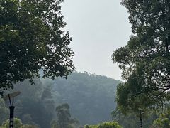 -火炉山森林公园
