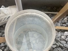 -DGE季风钓虾营地·团建·聚会