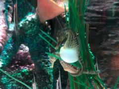 -沈阳海洋探索中心