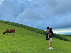 -大姆山草场