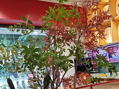 -花漫里日式餐厅(刺桐店)