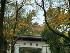 -岳麓山风景名胜区