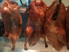-福成自助烤肉(青春路店)