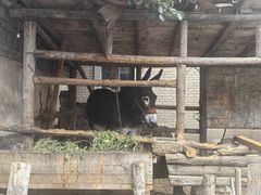 -清风小镇闯关东影视基地