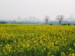 -汉长安城未央宫国家考古遗址公园