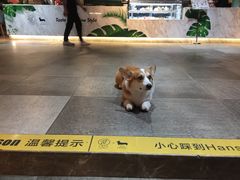 -771餐吧·咖啡·西餐·烤肉(金湖广场店)
