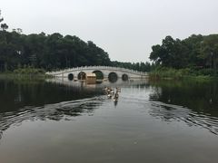 -金山植物公园