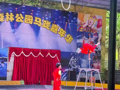 -广东茂名森林公园