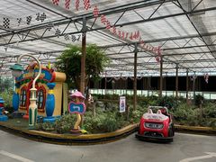 -南宫五洲植物乐园