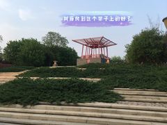 -大望京公园