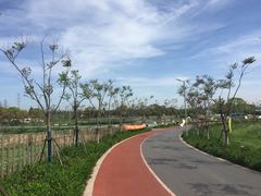 -上海长兴岛郊野公园