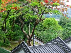 -广州神农草堂中医药博物馆