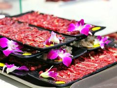 -陈记顺和潮汕鲜牛肉火锅(番禺迎宾大道店)