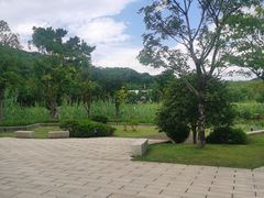 -牛岗山公园