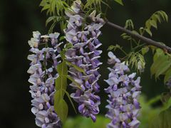 -上海吴淞炮台湾国家湿地公园