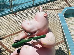 -大河马水上世界