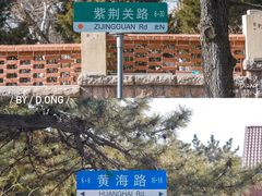 -八大关景区
