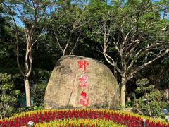 -野狸岛