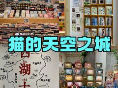 -猫的天空之城概念书店(杭州南宋御街店)