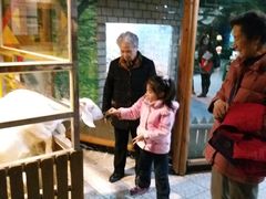-上海大自然野生昆虫馆
