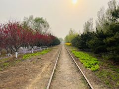 -永定河休闲森林公园