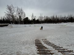 -大青山野生动物园