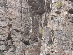 -红旗渠风景区