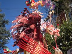 -呈贡滇池生态湿地公园